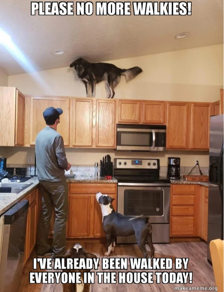 AIBU to ask for your favourite isolation memes?