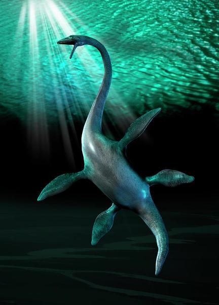 Favourite Dinosaur