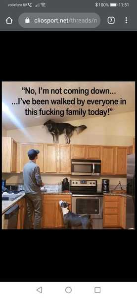 What are your pets up to today?
