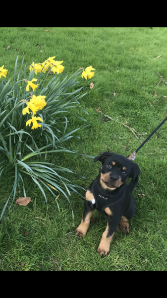 What are your pets up to today?