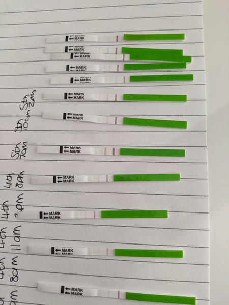 TTC opk tracking