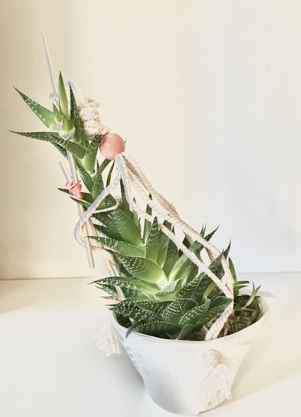 Thread for really fucking ugly houseplants