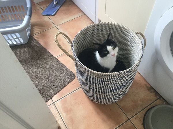 A thread for calm - peace, happy thoughts, support.