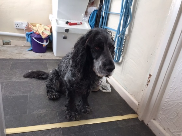 The 'Positive Mental Health' Corona virus thread Part III