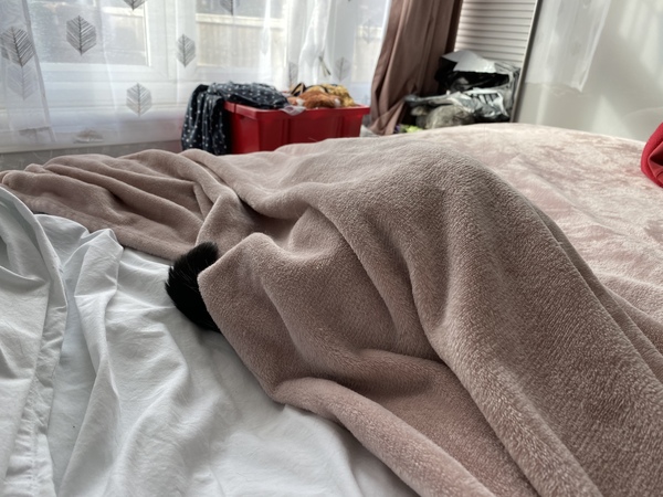 Where’s Harry?