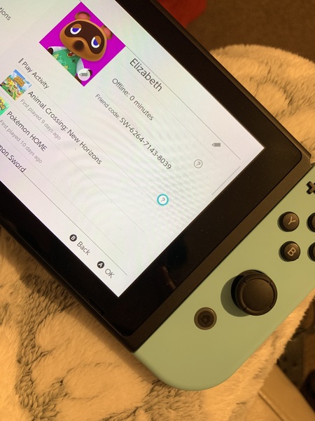 Animal Crossing- New Horizons