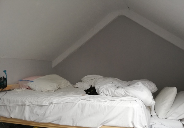 Show me your favourite thing in your house
