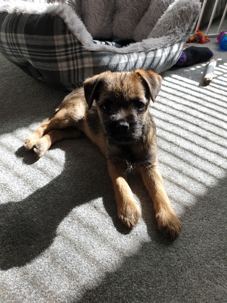 The 'Positive Mental Health' Corona virus thread Part III