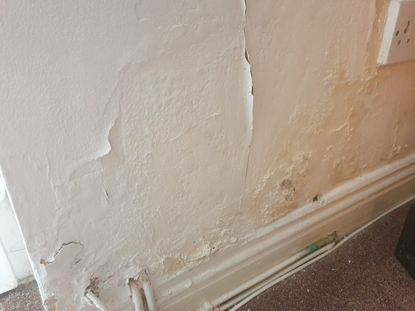 Damp proof - can anybody help me?