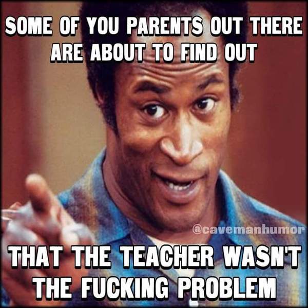 Why is there so much hostility against teachers on MN?