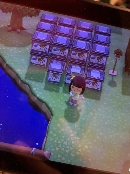 Animal Crossing- New Horizons