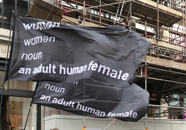 Happy International Women's Day!