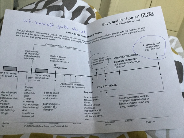 IVF at Guy's & St. Thomas' & general process/timeline