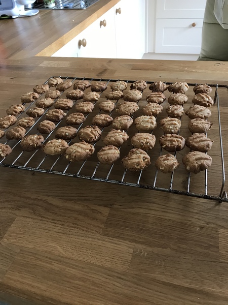 What are you baking today?