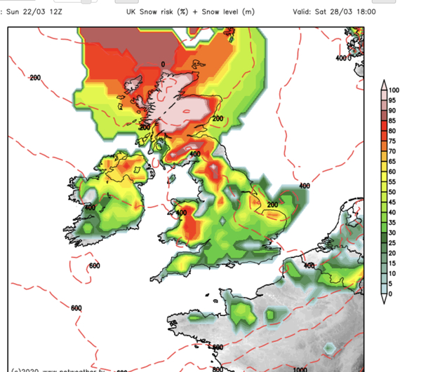 Coronovirus and methotrexate (Sorry more Coronavirus!)