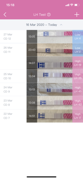 TTC after miscarriage - April 2020