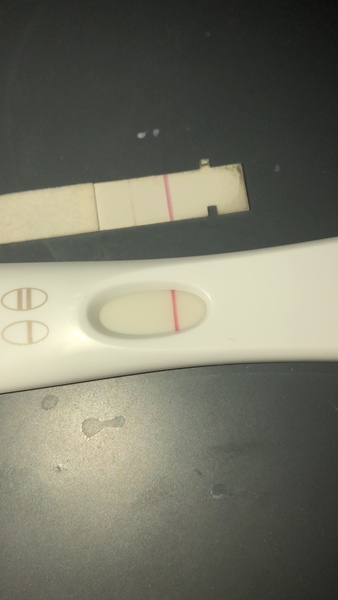 Implantation bleed and BFP?