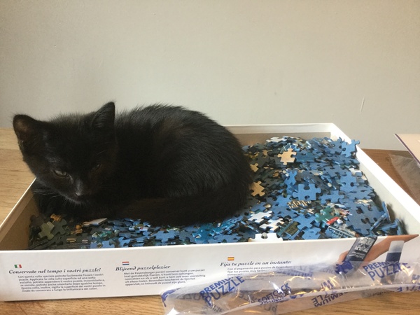 A thread for calm - peace, happy thoughts, support.