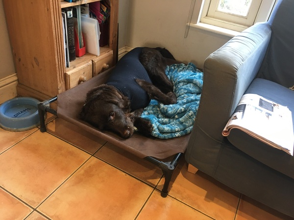 Outfit of the day.. shopping our wardrobes continued