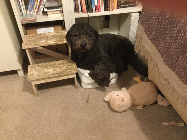 A thread for calm - peace, happy thoughts, support.