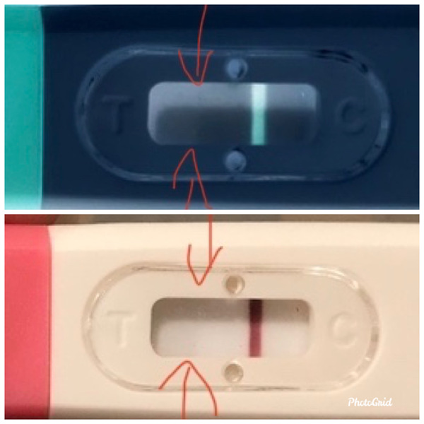 Surely I couldn't be pregnant from that?