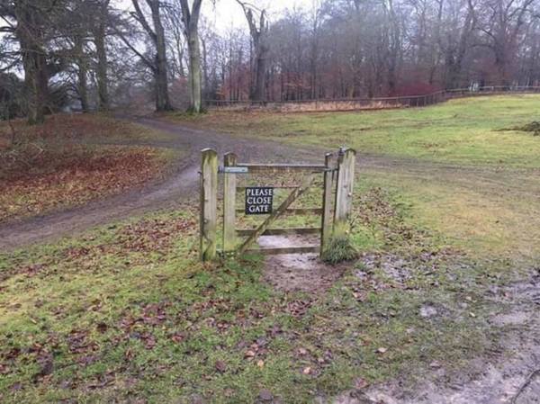 Westminstenders: All bets are off