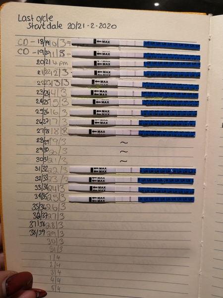 Advice please... Line eyes