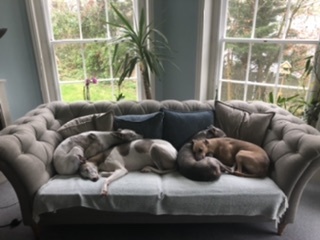Show me your favourite thing in your house