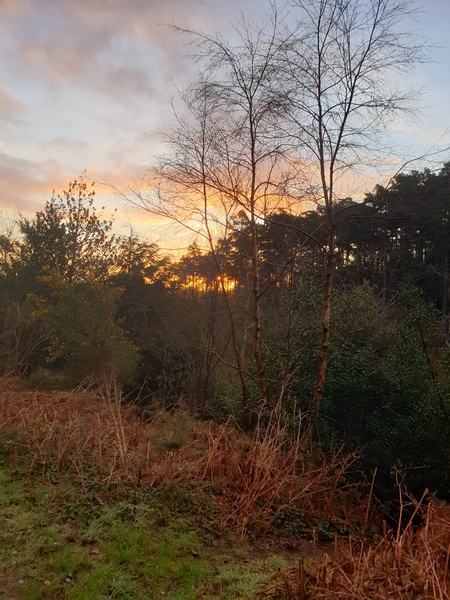 Whilst the world is going to shit (lighthearted)..