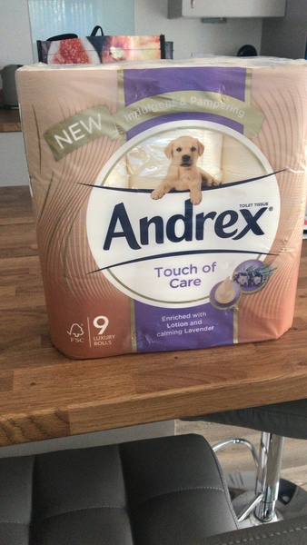 To ask who has my bog roll?