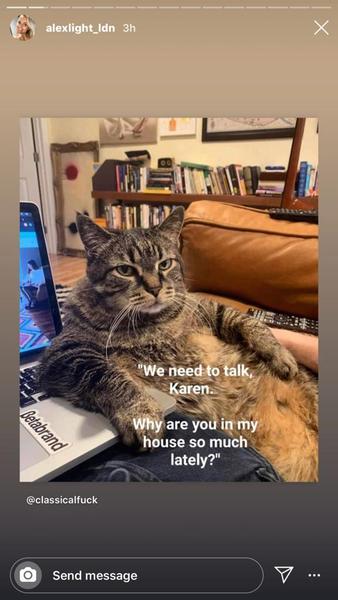 What's your DCat up to today? (Thread 7!)