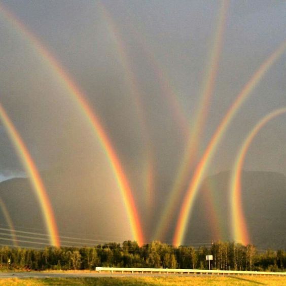 Please don't put a rainbow in your window!