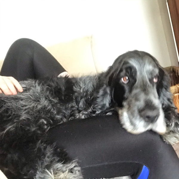 What are your pets up to today?