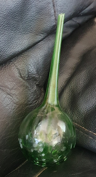 I found this in the garden today