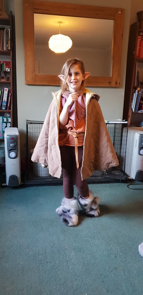 Is anyone else actually putting in effort for World Book Day this year?