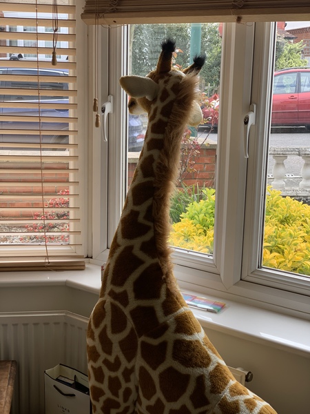 Managing Money Mindfully in March with the Friendly Frugaleers