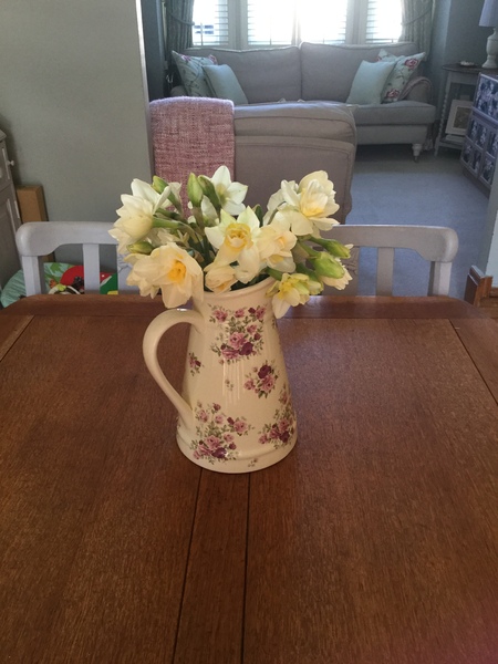 Westministenders: The Virus