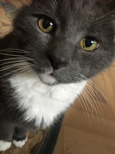 Picture thread