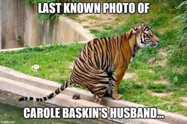 AIBU to ask for your favourite isolation memes?