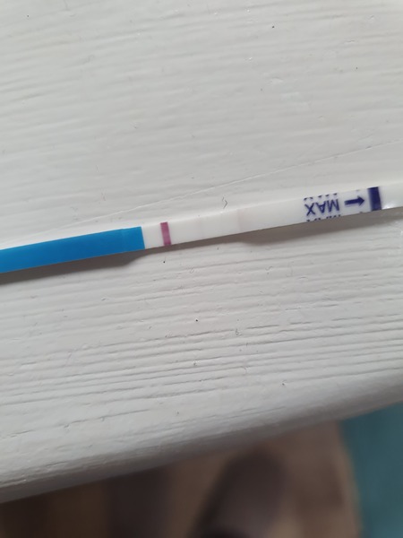 Can anyone see this?
