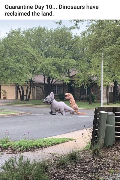 AIBU to ask for your favourite isolation memes?