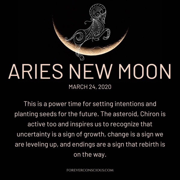 Any Witches Here? Part 11