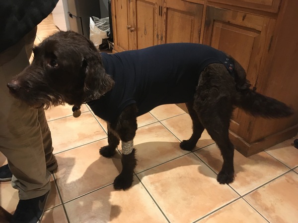 Outfit of the day.. shopping our wardrobes continued