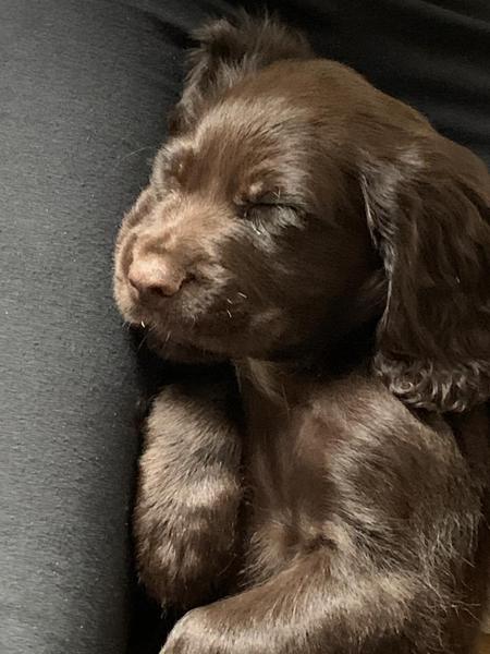 The 'Positive Mental Health' Corona virus thread Part II