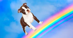 Please don't put a rainbow in your window!