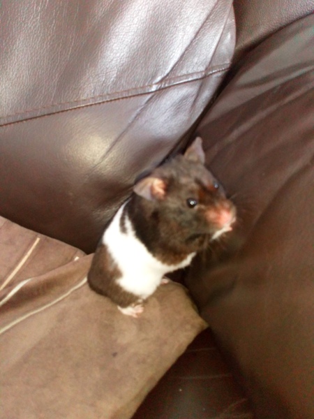 What are you doing today? Tell me about you 'interesting' lives