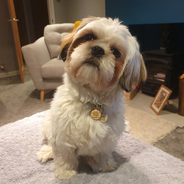 What's your dog called?