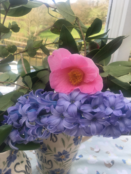 Jan '20 - Week 8 Low Carb Bootcamp - Springing into March