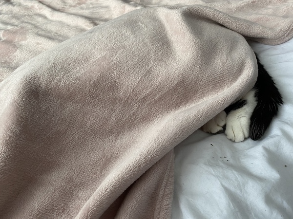 Where’s Harry?