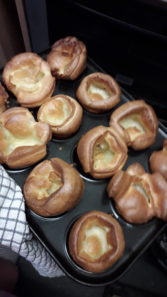 What the fook is stopping my Yorkshires from rising?😡